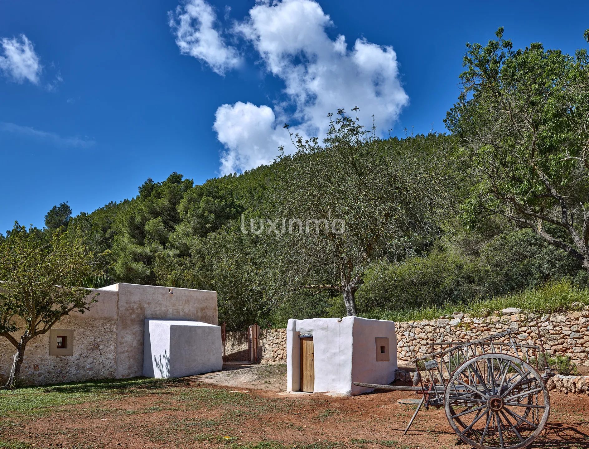 Un domaine du XIXe siècle transformé en un lieu de retraite contemporain à Ibiza — photo 50