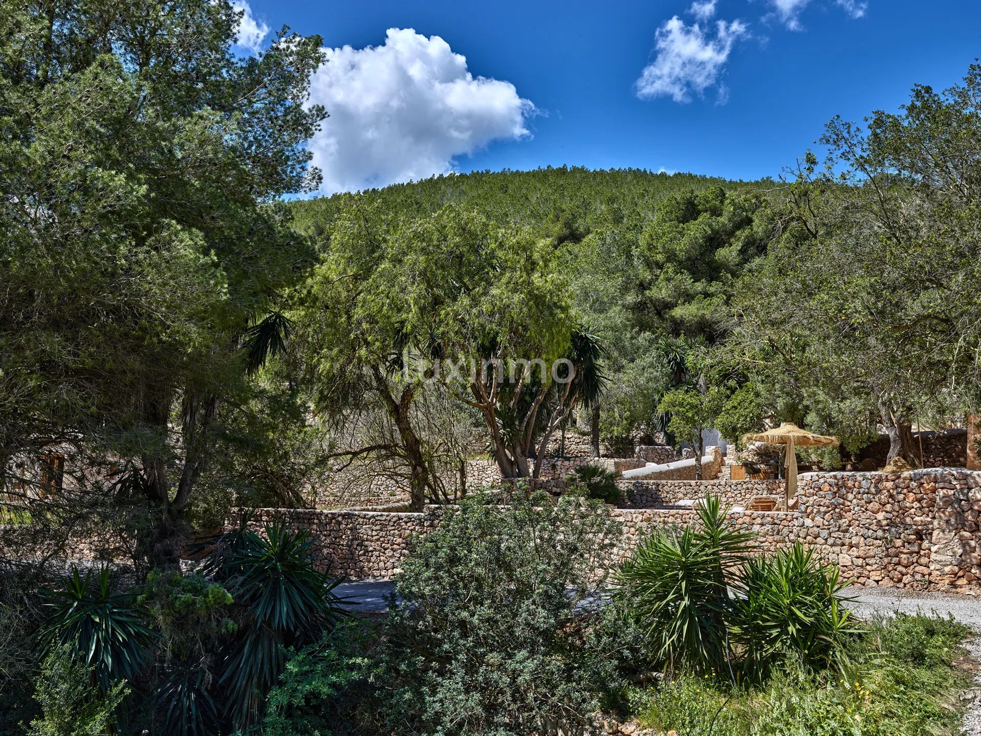 Un domaine du XIXe siècle transformé en un lieu de retraite contemporain à Ibiza — photo 55