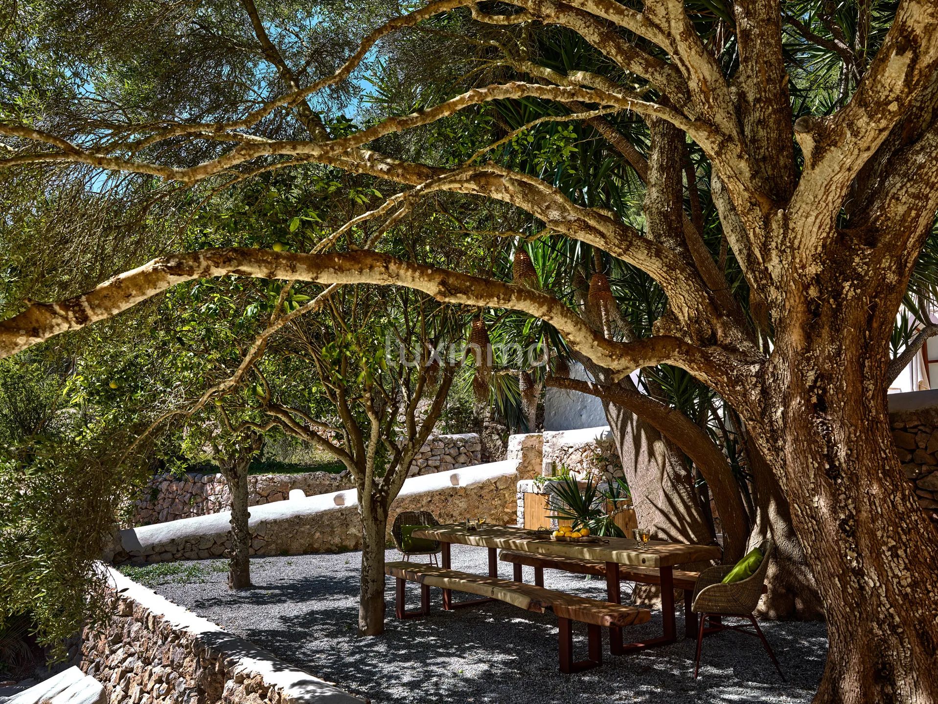 Un domaine du XIXe siècle transformé en un lieu de retraite contemporain à Ibiza — photo 54