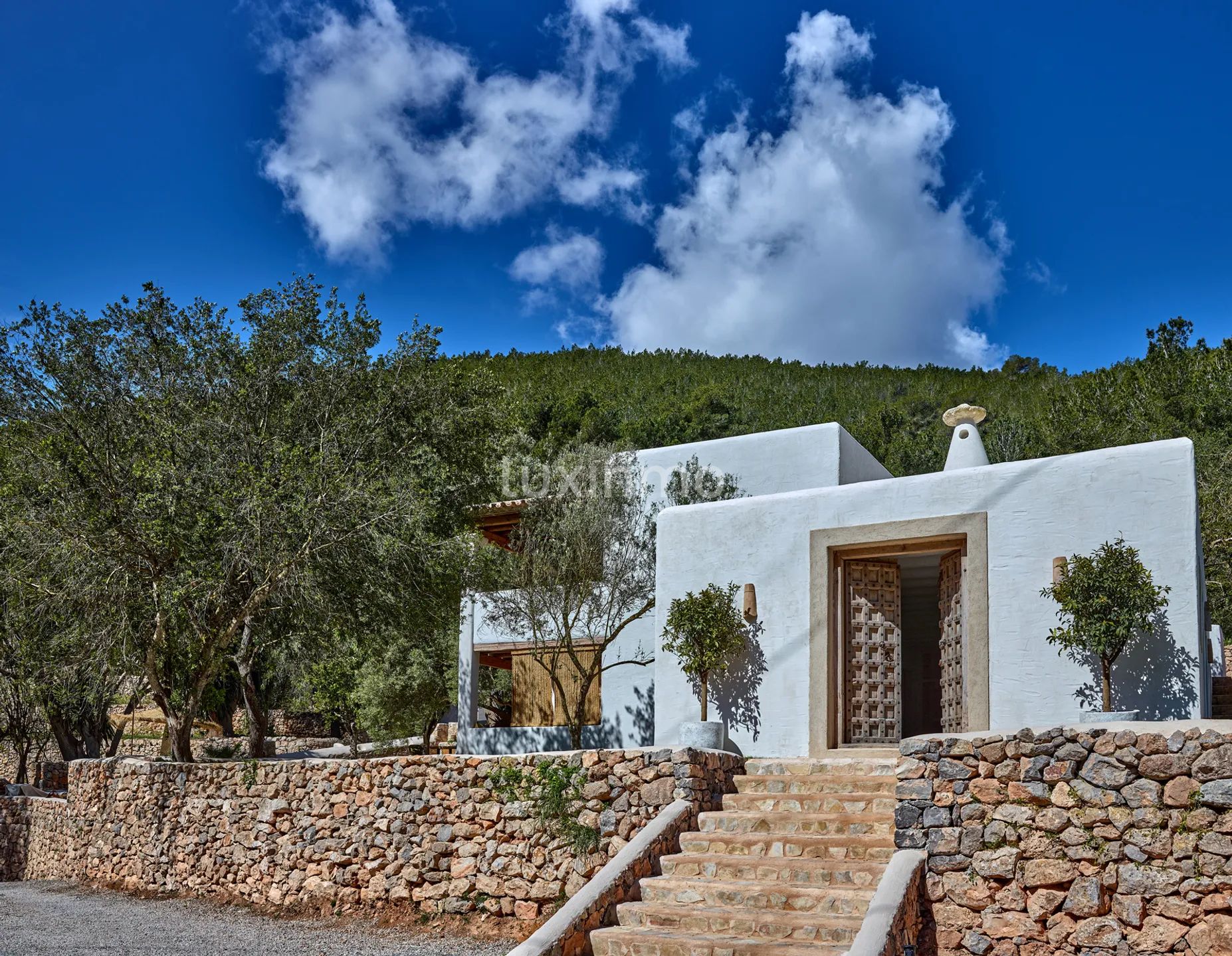 Un domaine du XIXe siècle transformé en un lieu de retraite contemporain à Ibiza — photo 18