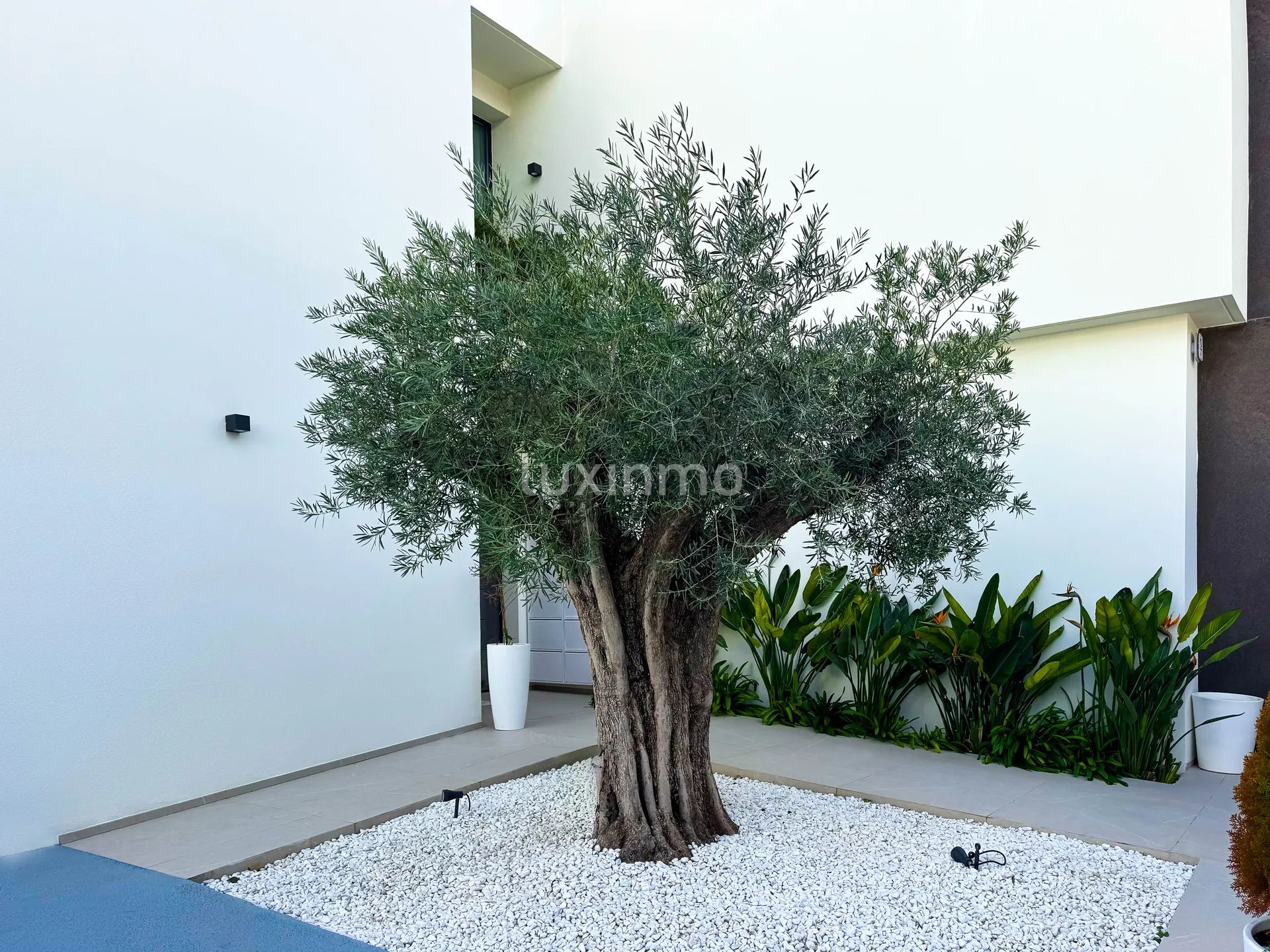 Luxury Villa with Mountain & Sea Views in La Nucia — photo 49