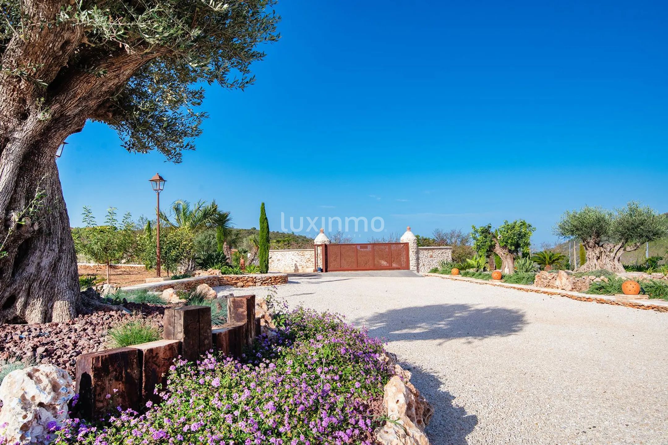 Modern finca with open panoramic views for rent in Berne — photo 7