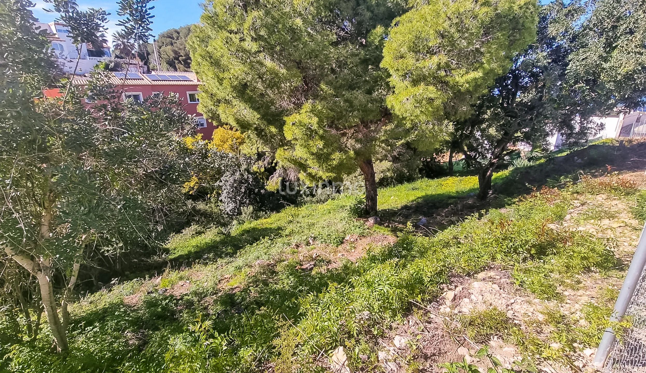 Parcela edificable con vistas al mar en el Montgó, Dénia — photo 2