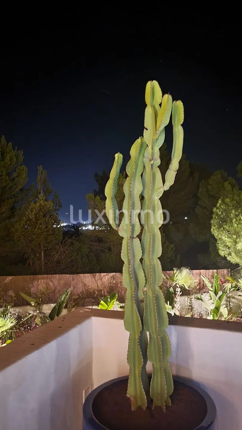 Charmante villa sur la côte sud-ouest avec vue lointaine sur la mer — photo 58