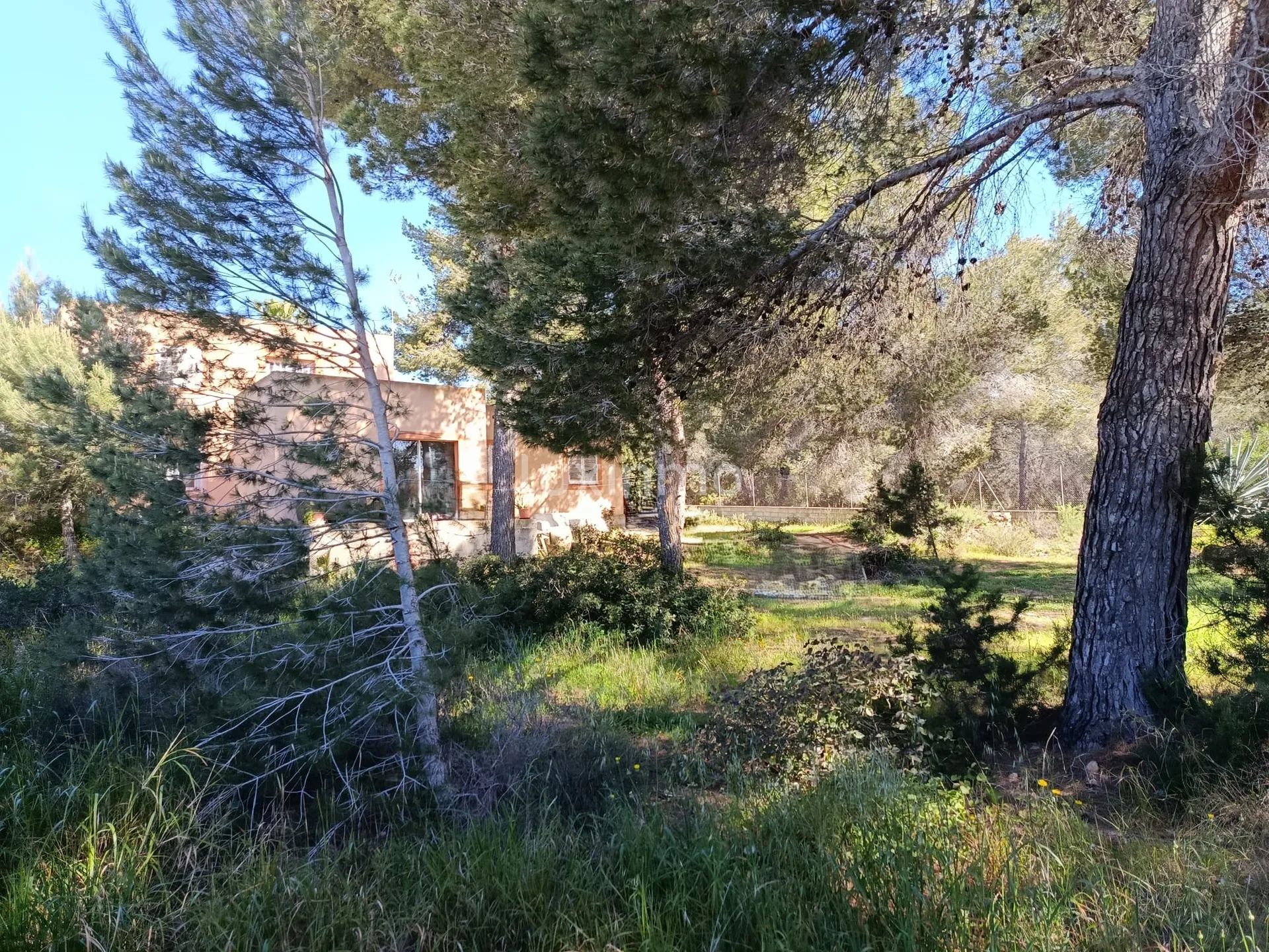 Fantastisk hus med vakkert land å renovere i KM4 — photo 9