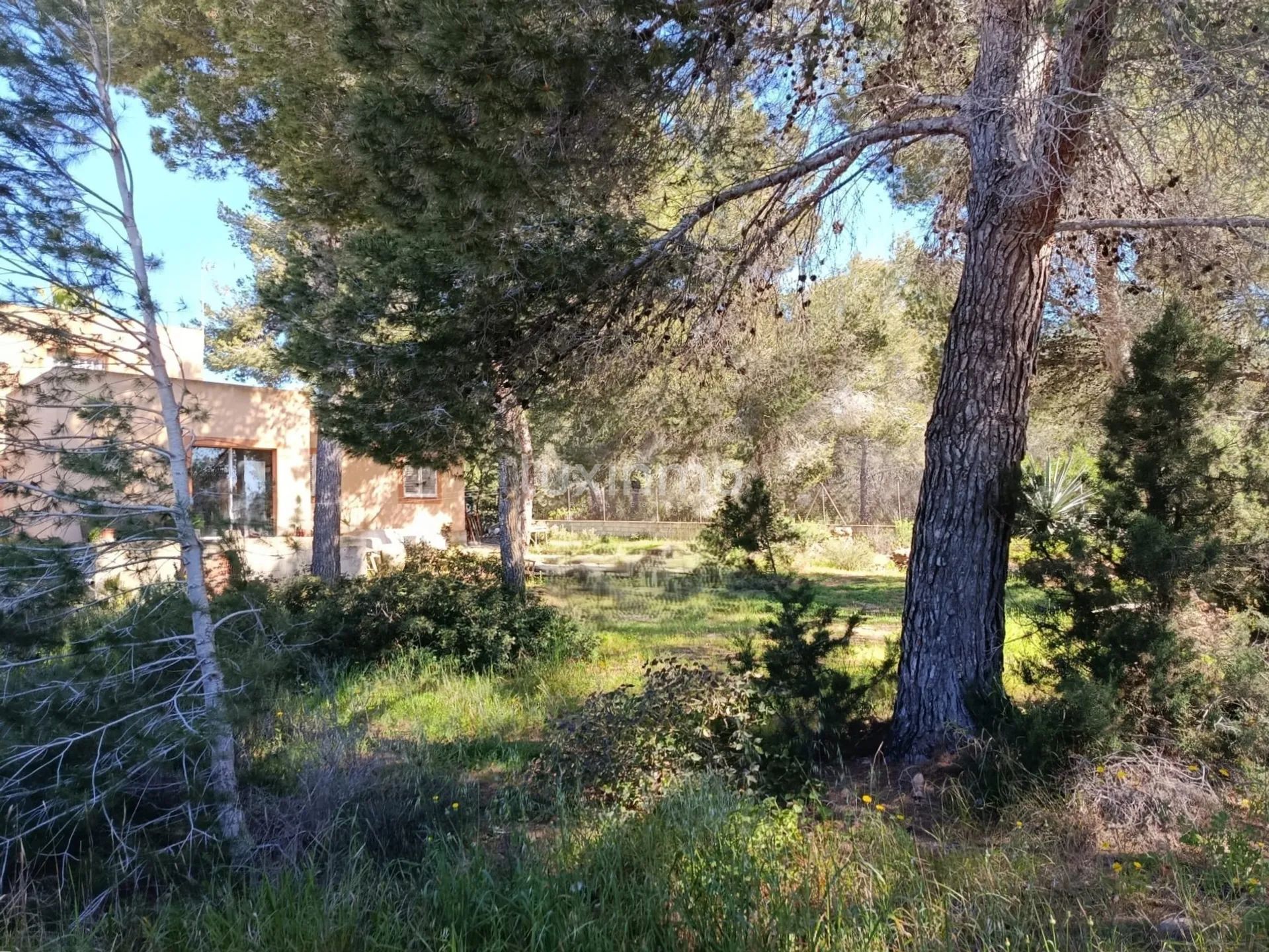 Fantastisk hus med vakkert land å renovere i KM4 — photo 10