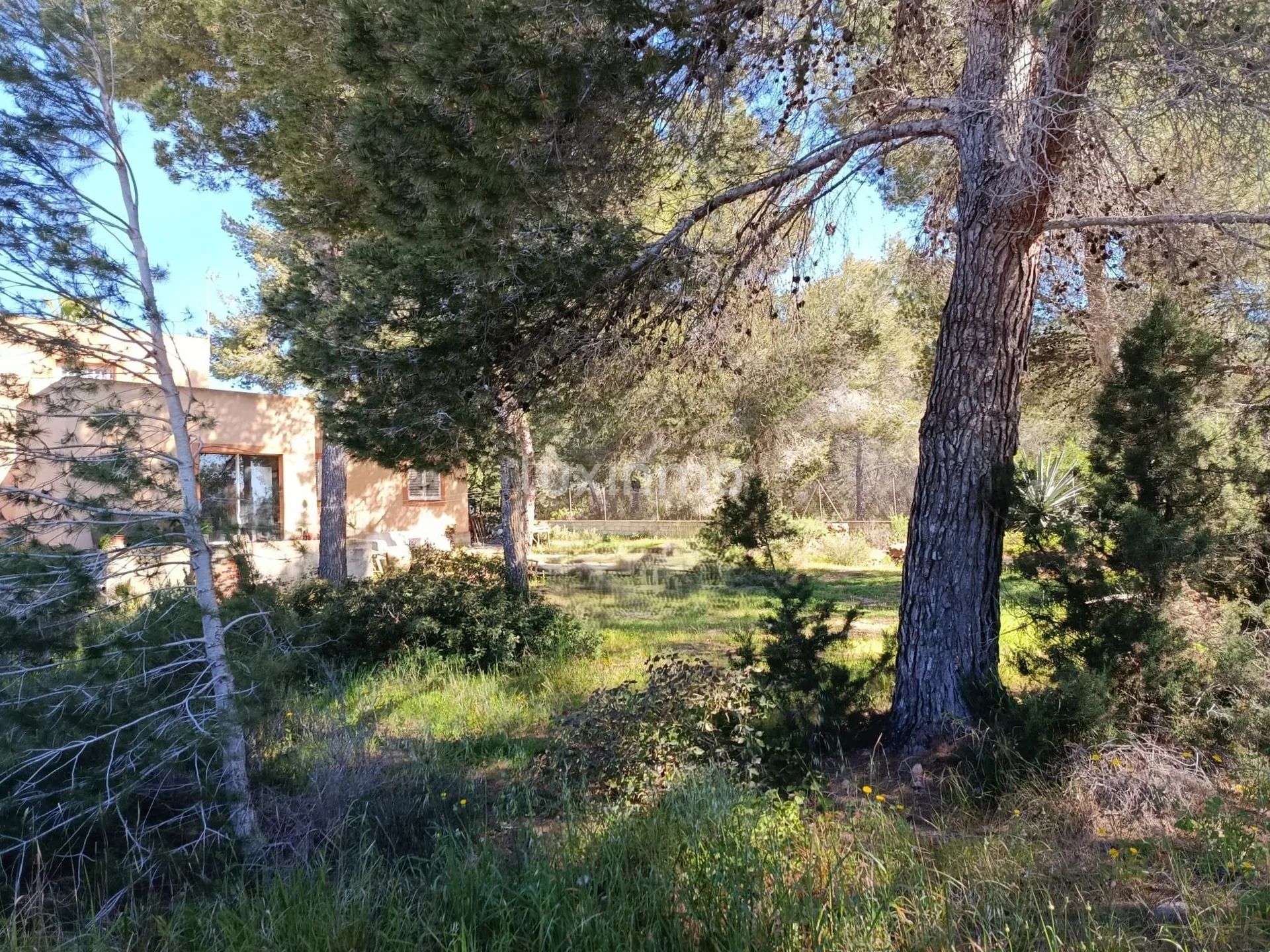 Fantastisk hus med vakkert land å renovere i KM4 — photo 8