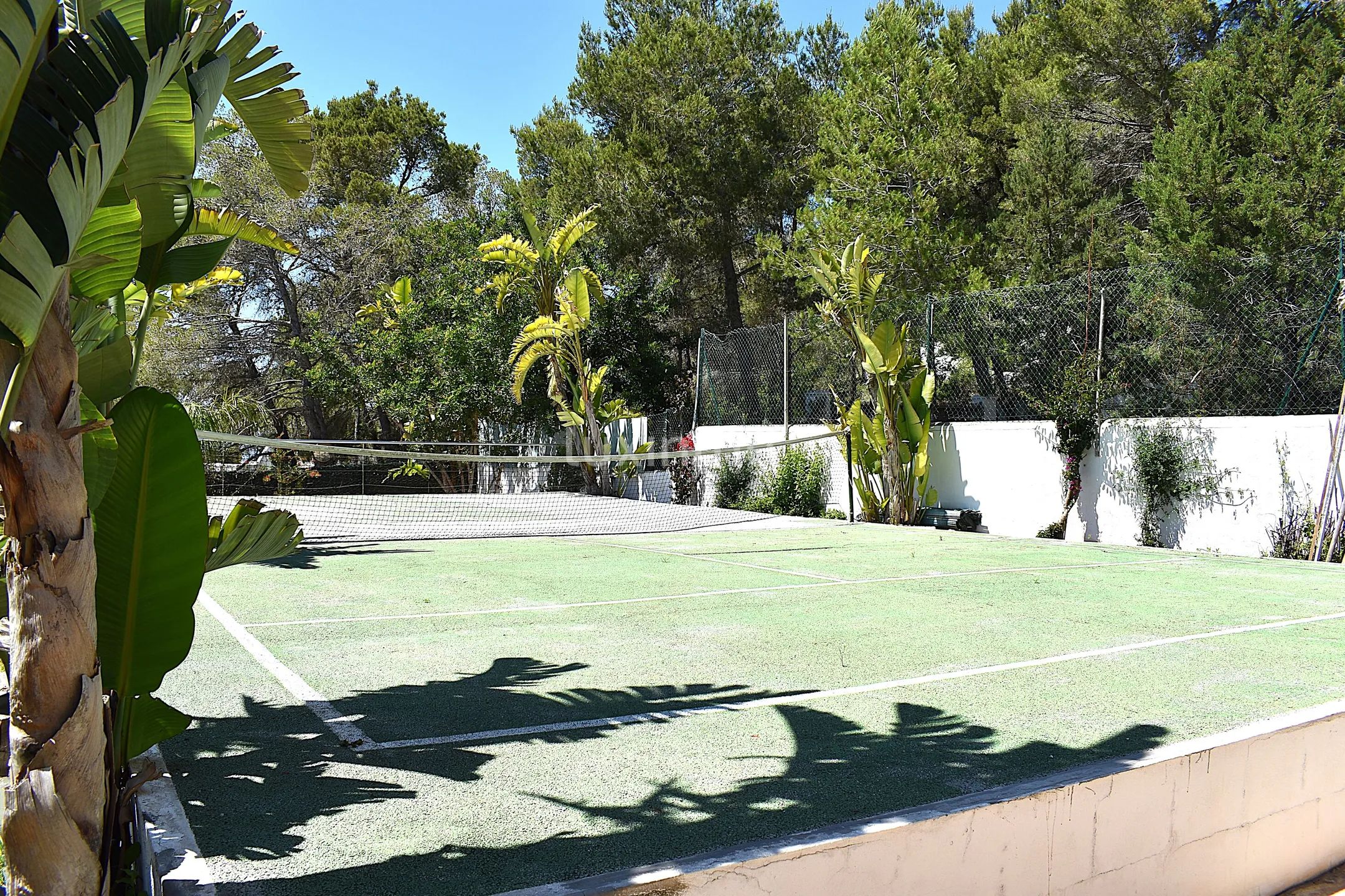 Schöne Villa mit herrlichem Meerblick in Cala Salada — photo 12