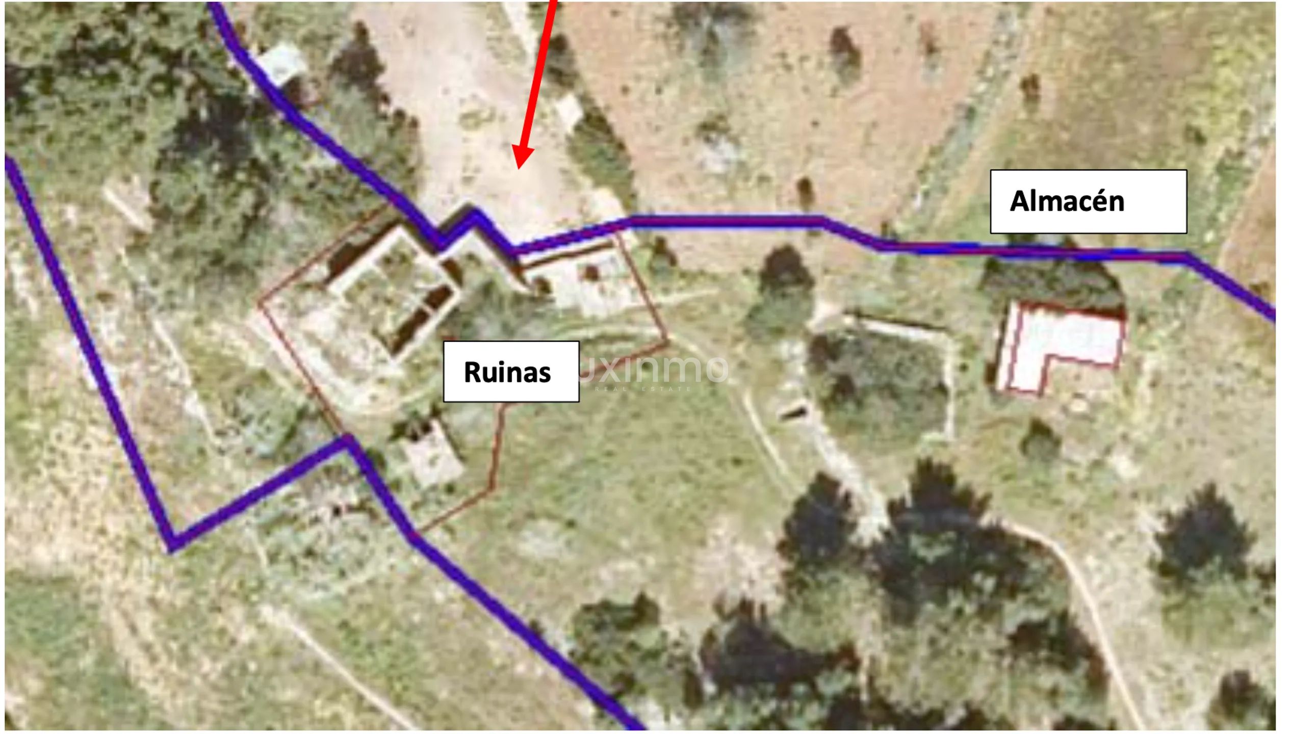Exclusive Rustic Plot of land near Morna School - Santa Gertrudis, Ibiza — photo 2