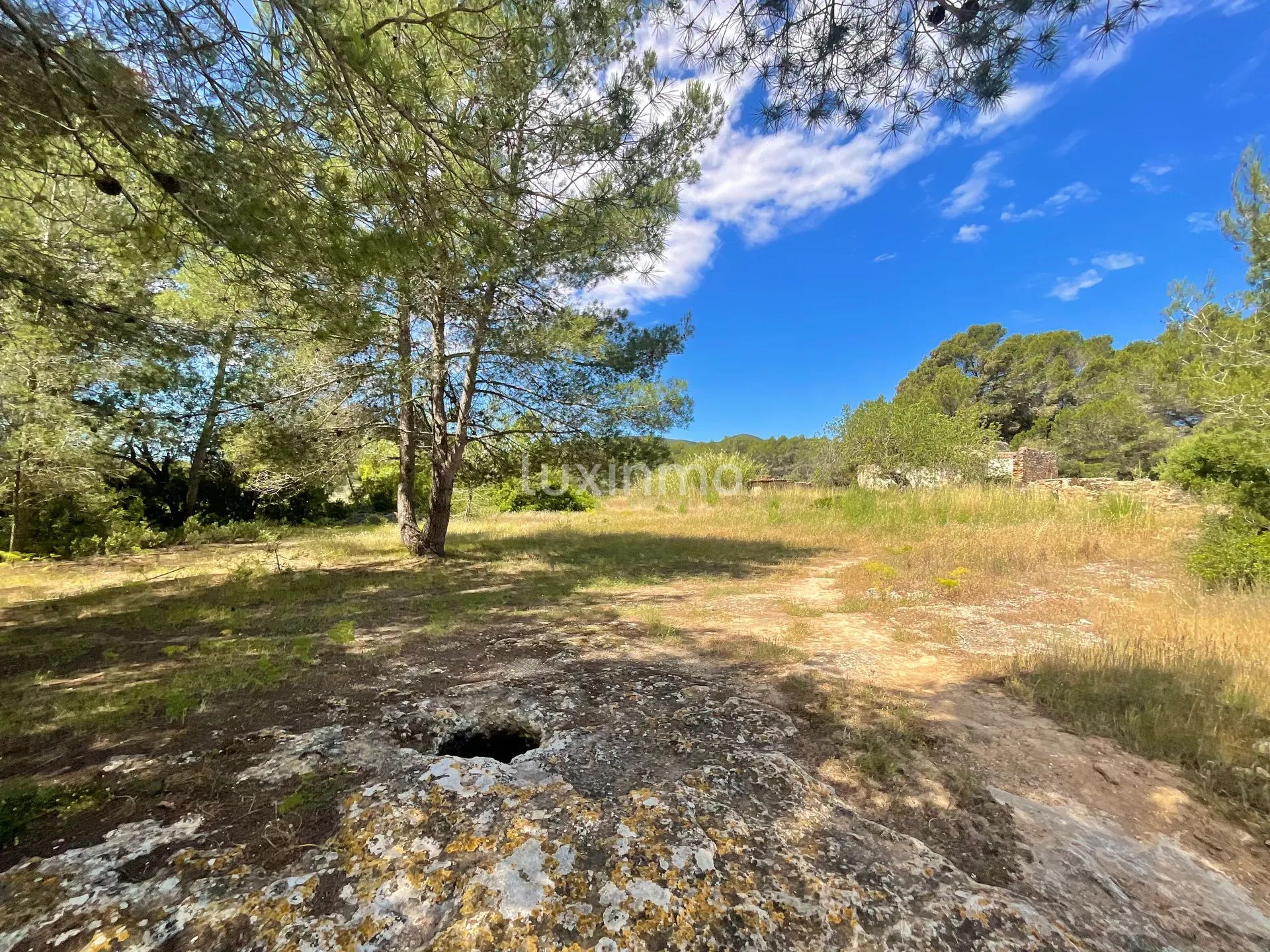 Exclusive Rustic Plot of land near Morna School - Santa Gertrudis, Ibiza — photo 4