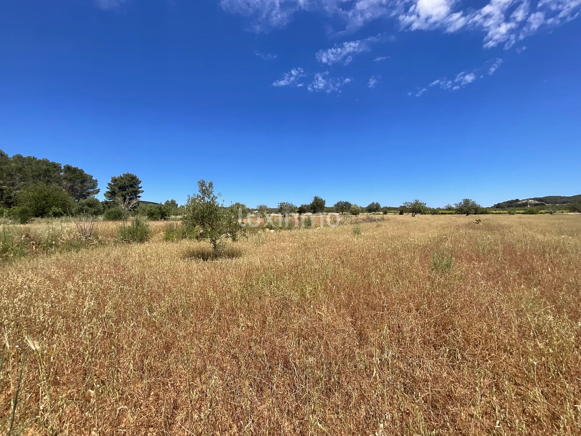 Exclusive Rustic Plot of land near Morna School - Santa Gertrudis, Ibiza — photo 8