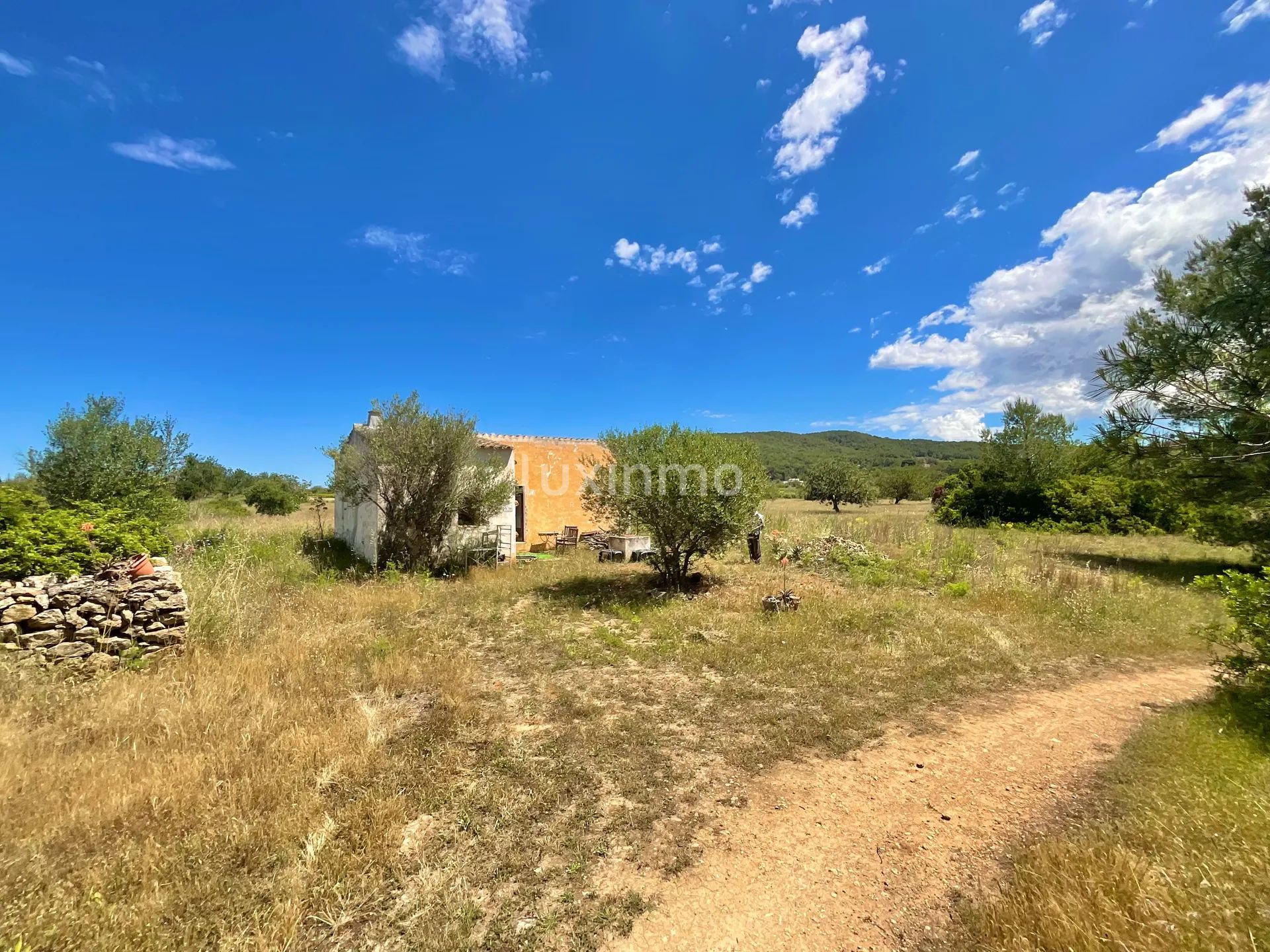 Exclusive Rustic Plot of land near Morna School - Santa Gertrudis, Ibiza — photo 3