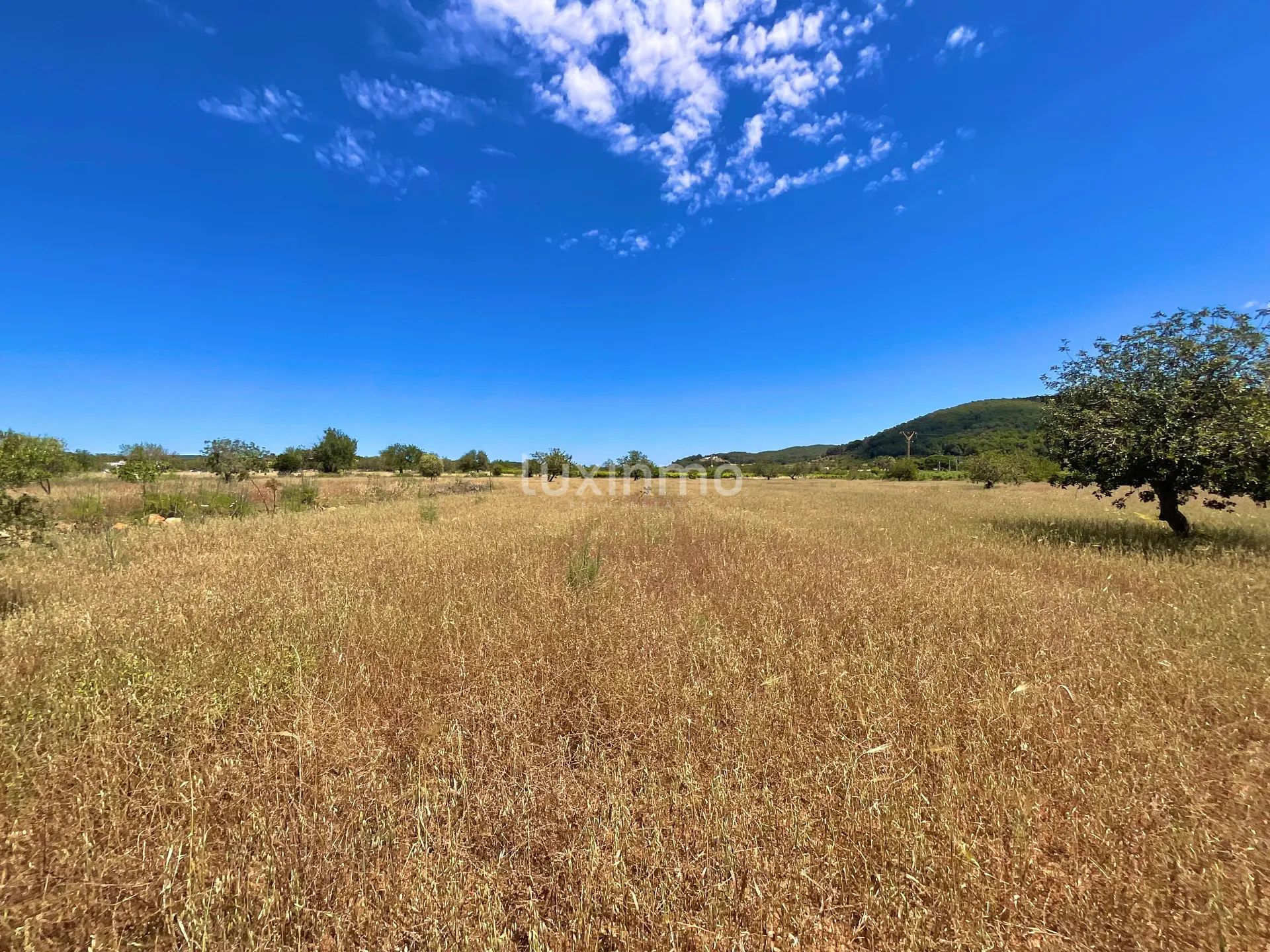 Exclusive Rustic Plot of land near Morna School - Santa Gertrudis, Ibiza — photo 7