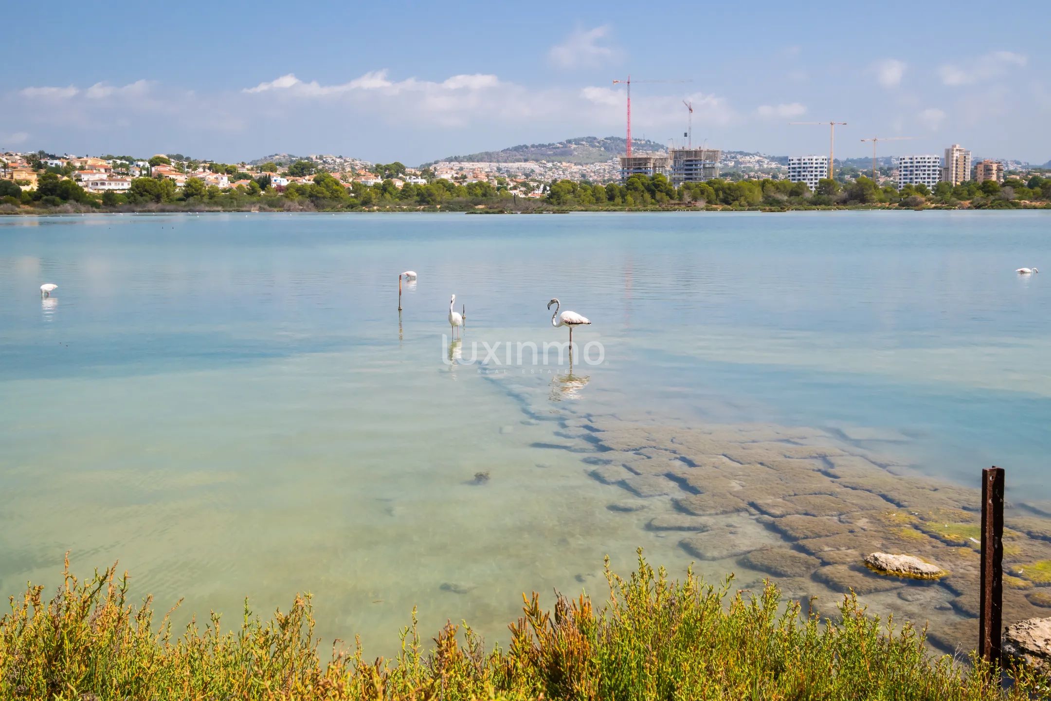 Apartment with open views and pool in Calpe — photo 16
