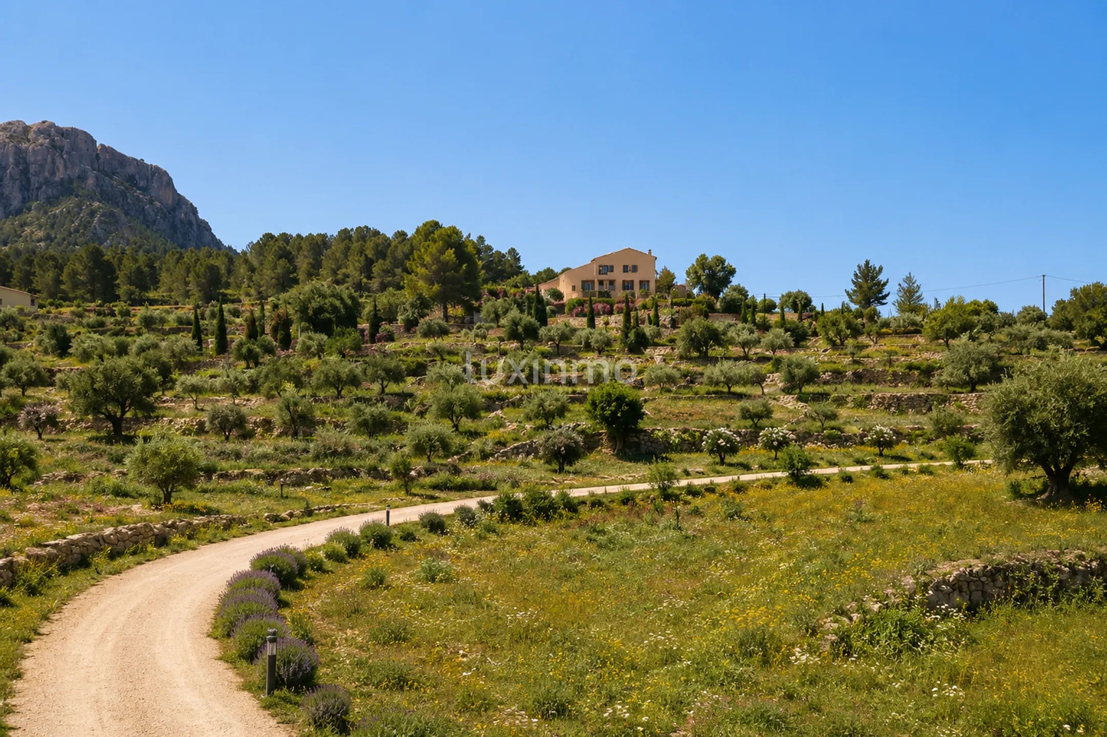 A spectacular 13,000 m² country estate in Benissa — photo 5
