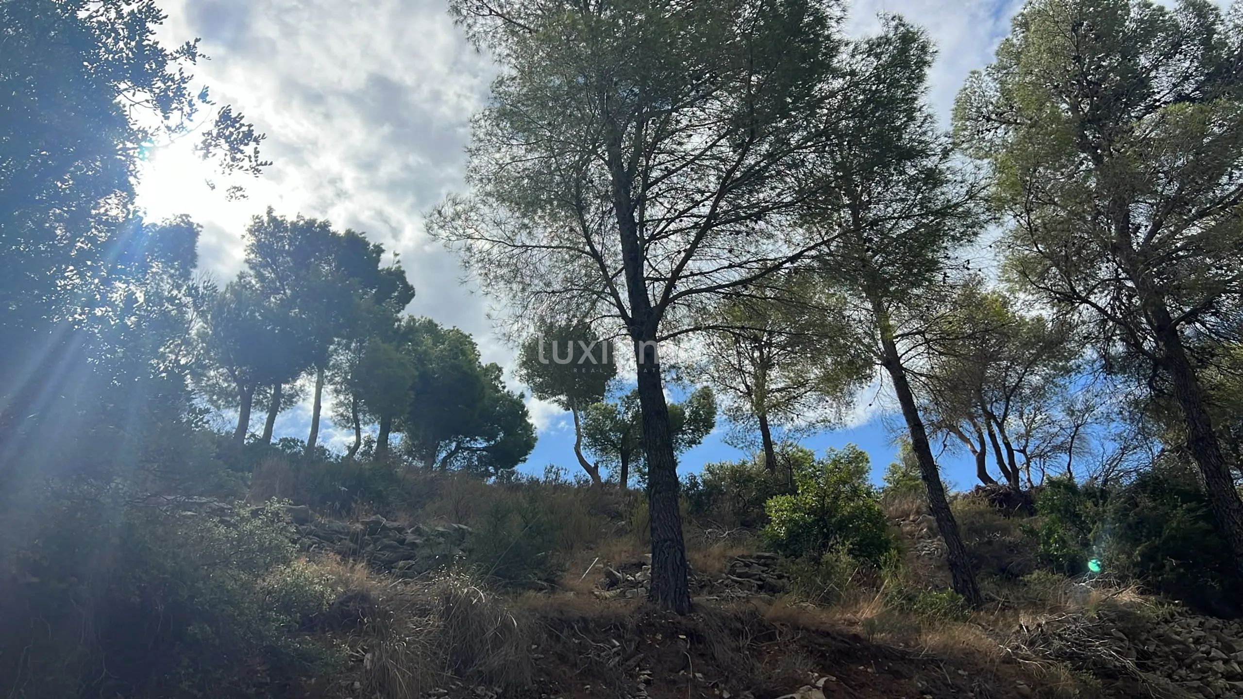 Plot for sale with sea views in Altea — photo 8