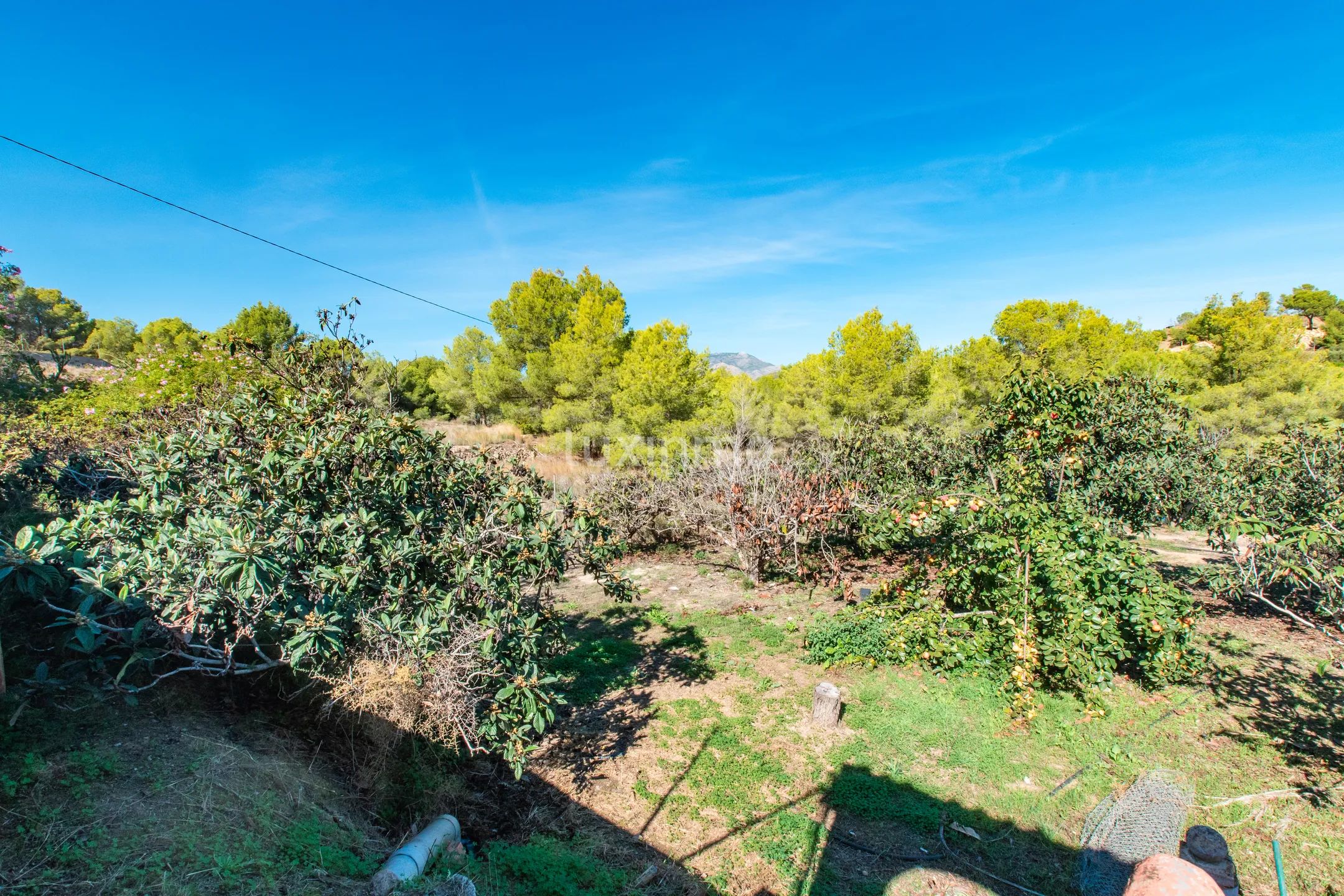 Spacious colonial house with large plot in La Nucia — photo 15