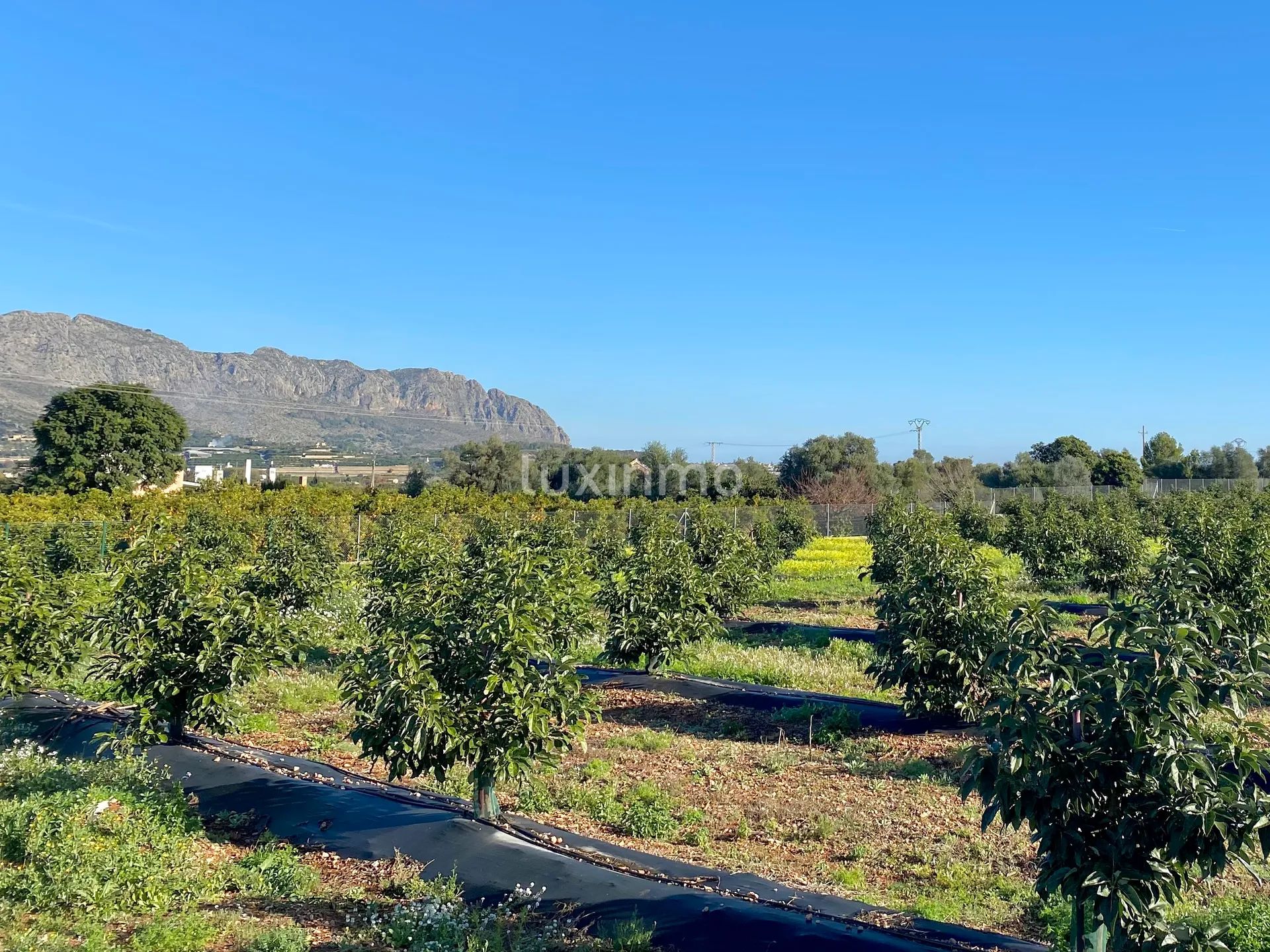 Exclusive Country Estate with Private Pool and Expansive Grounds in Benidoleig — photo 4