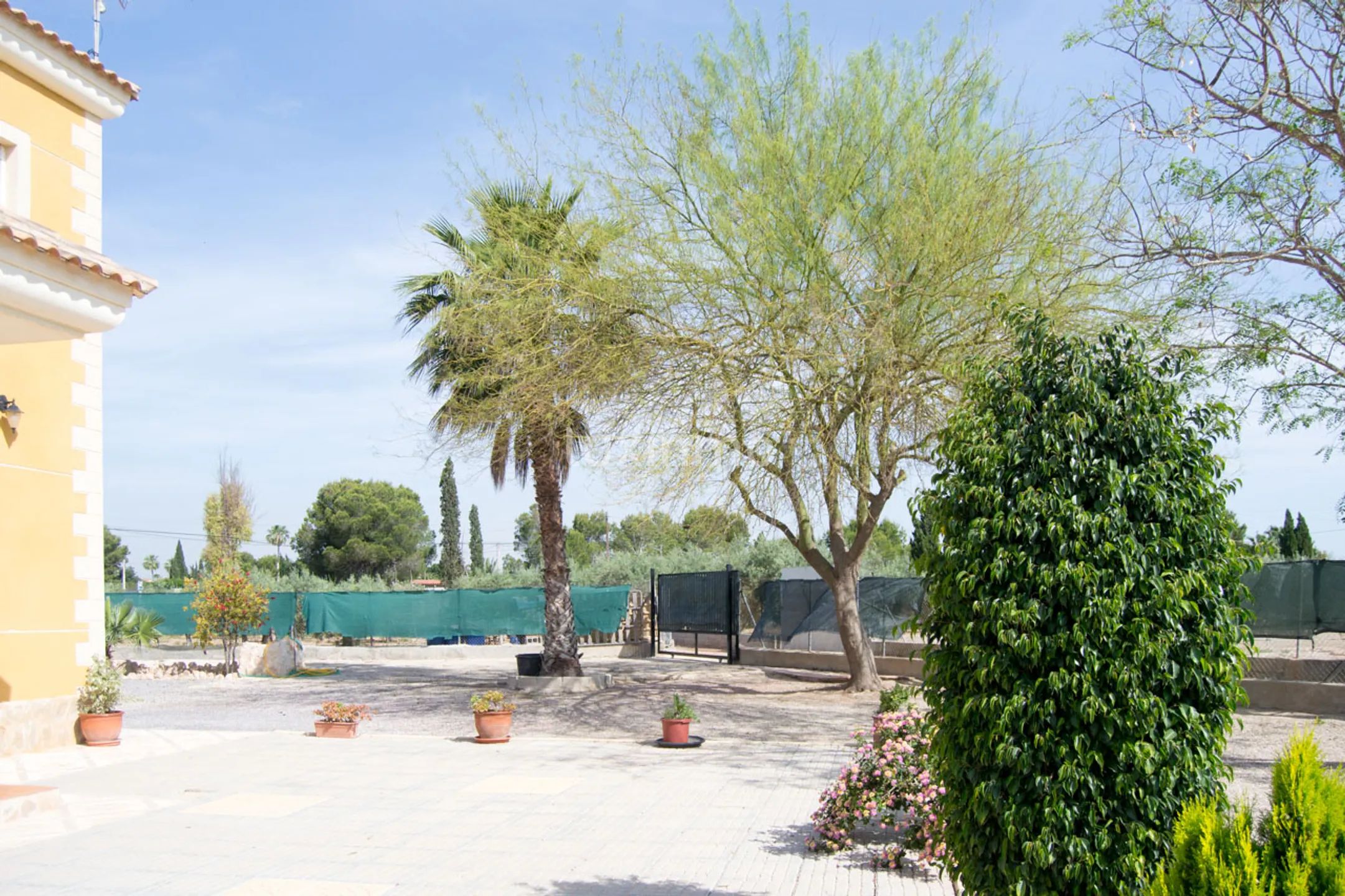 Uroczy dom wolnostojący z 6 sypialniami i prywatnym basenem w La Perleta, Elche — photo 27