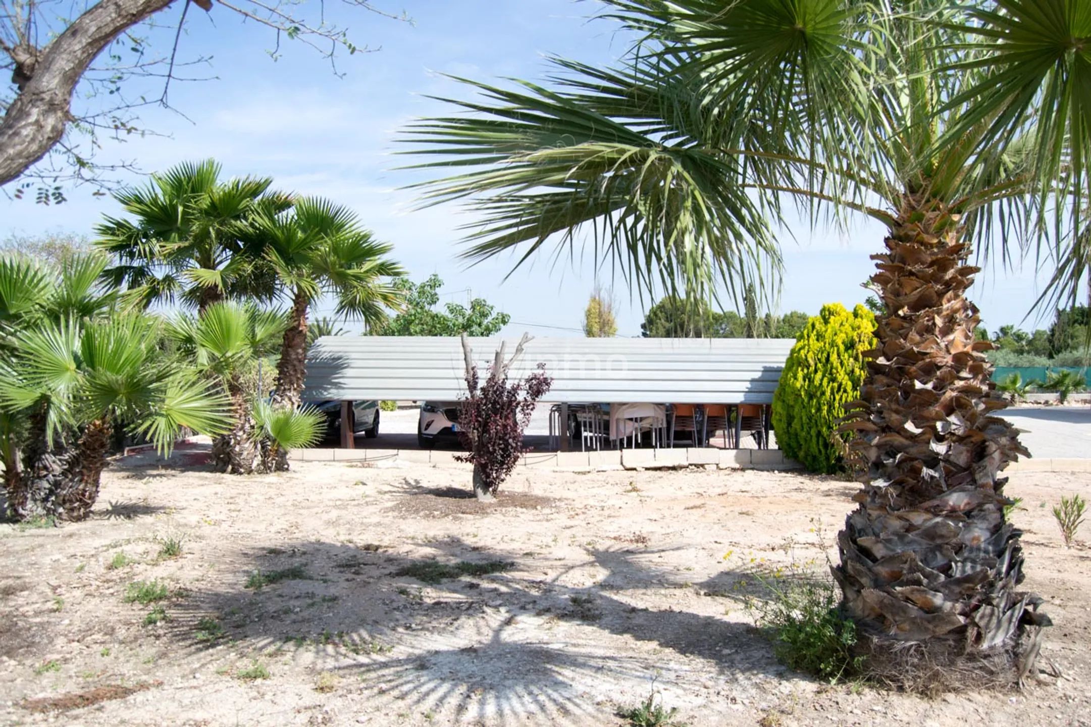 Charming 6-Bedroom Detached House with Private Pool in La Perleta, Elche — photo 13