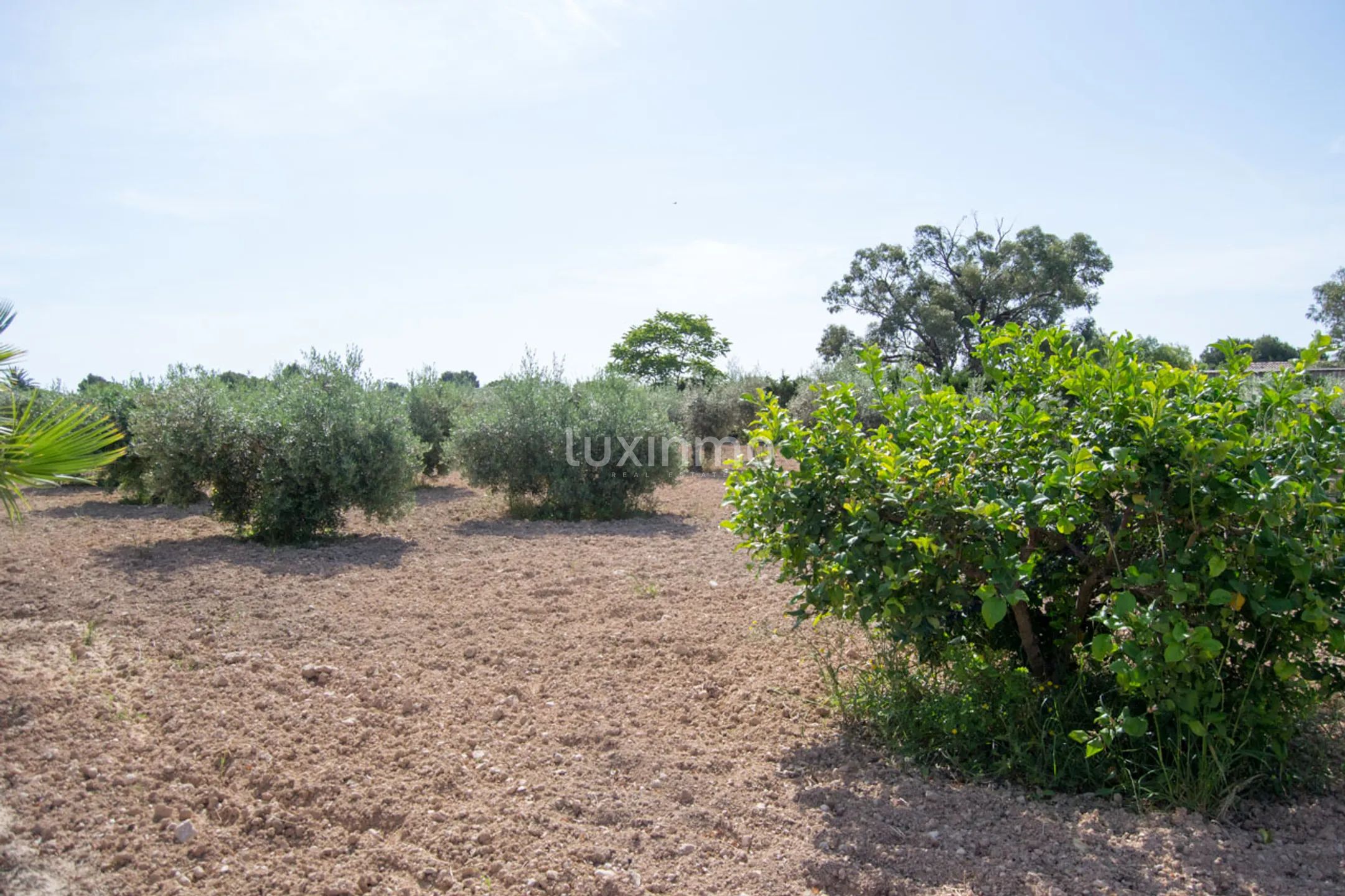Uroczy dom wolnostojący z 6 sypialniami i prywatnym basenem w La Perleta, Elche — photo 14