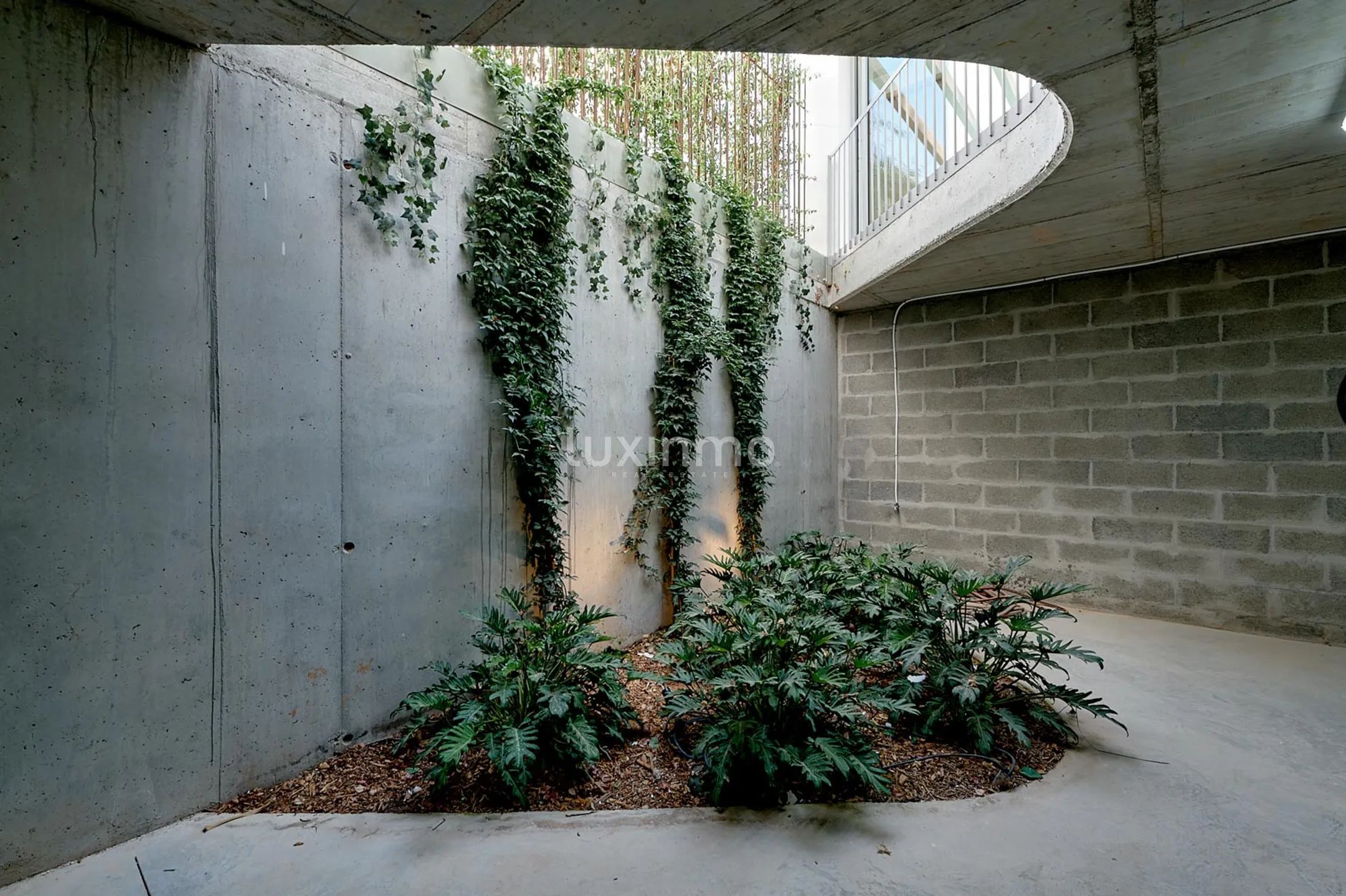 Nowo wybudowana willa w Cala Comte Ibiza — photo 59