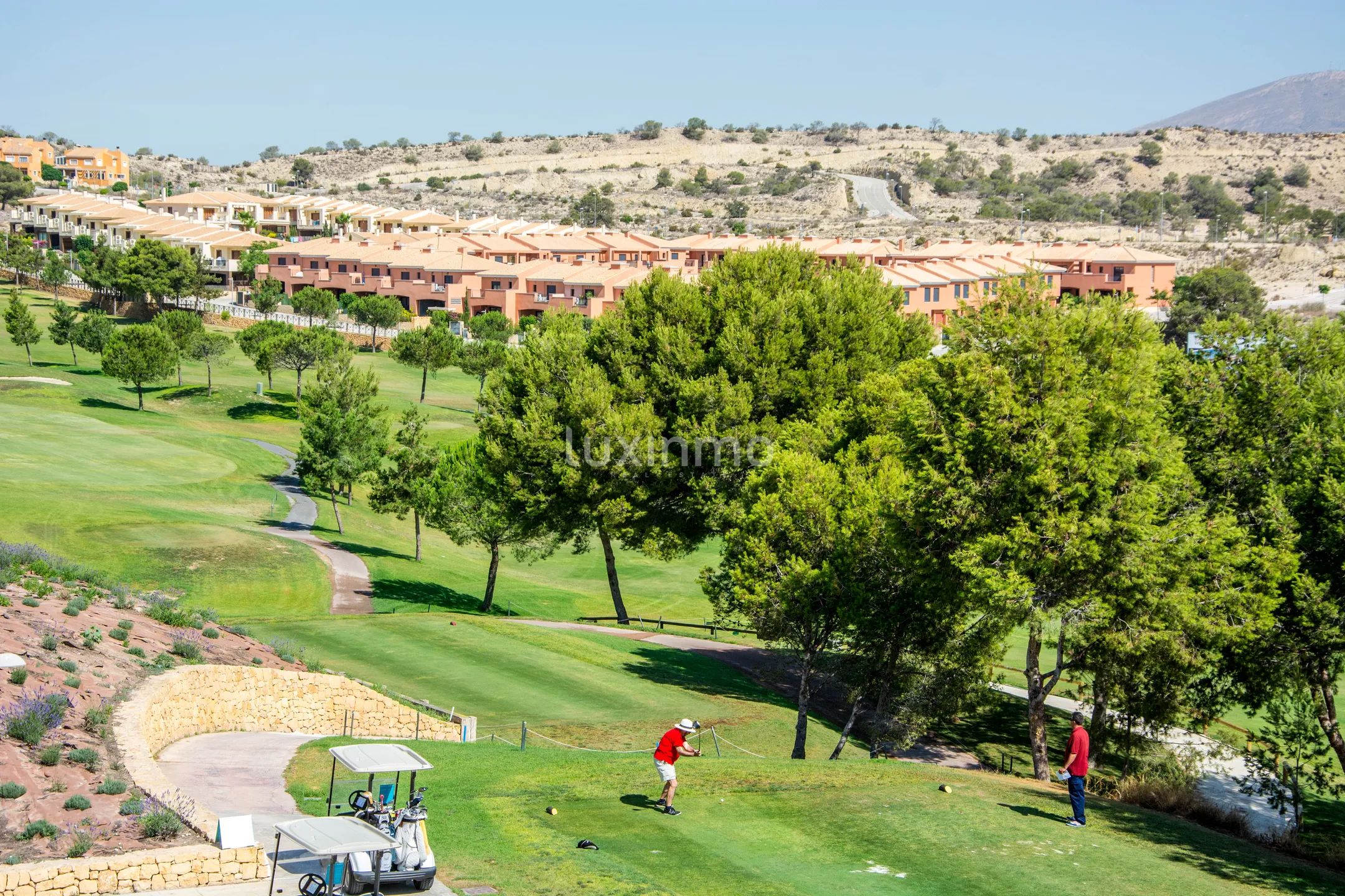 New development in Monforte del Cid, Alicante — photo 5