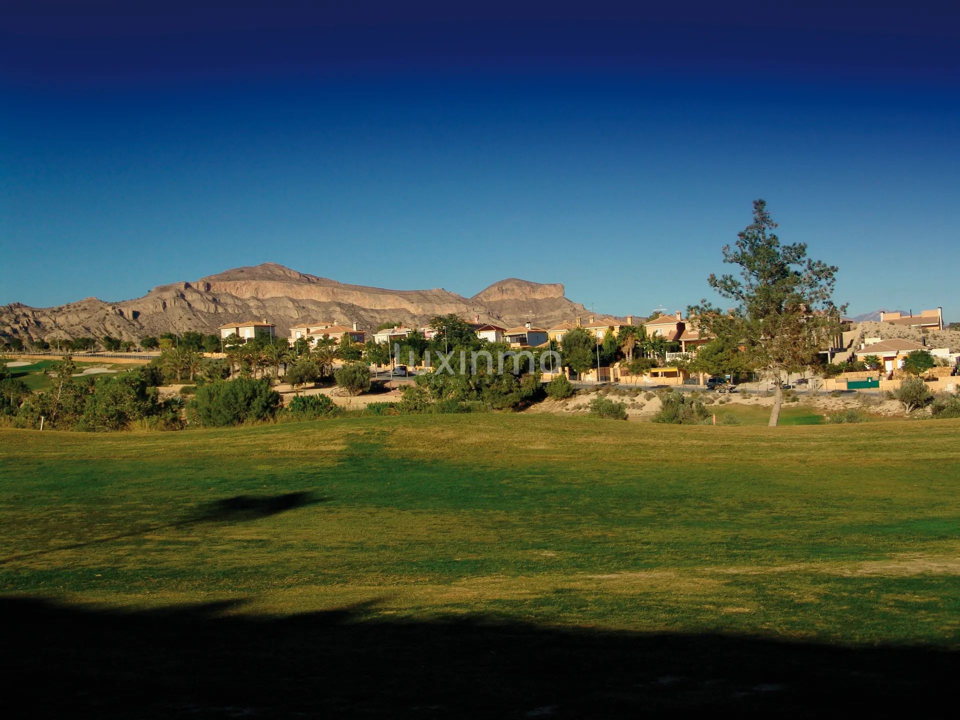 New development in Monforte del Cid, Alicante — photo 8