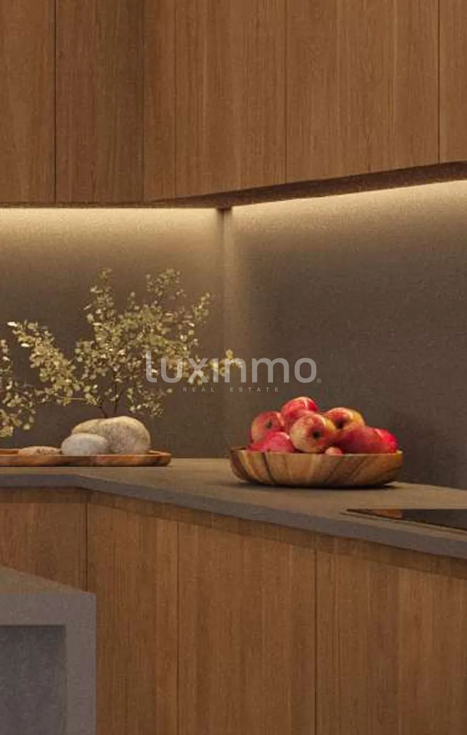 The Origin — photo 8