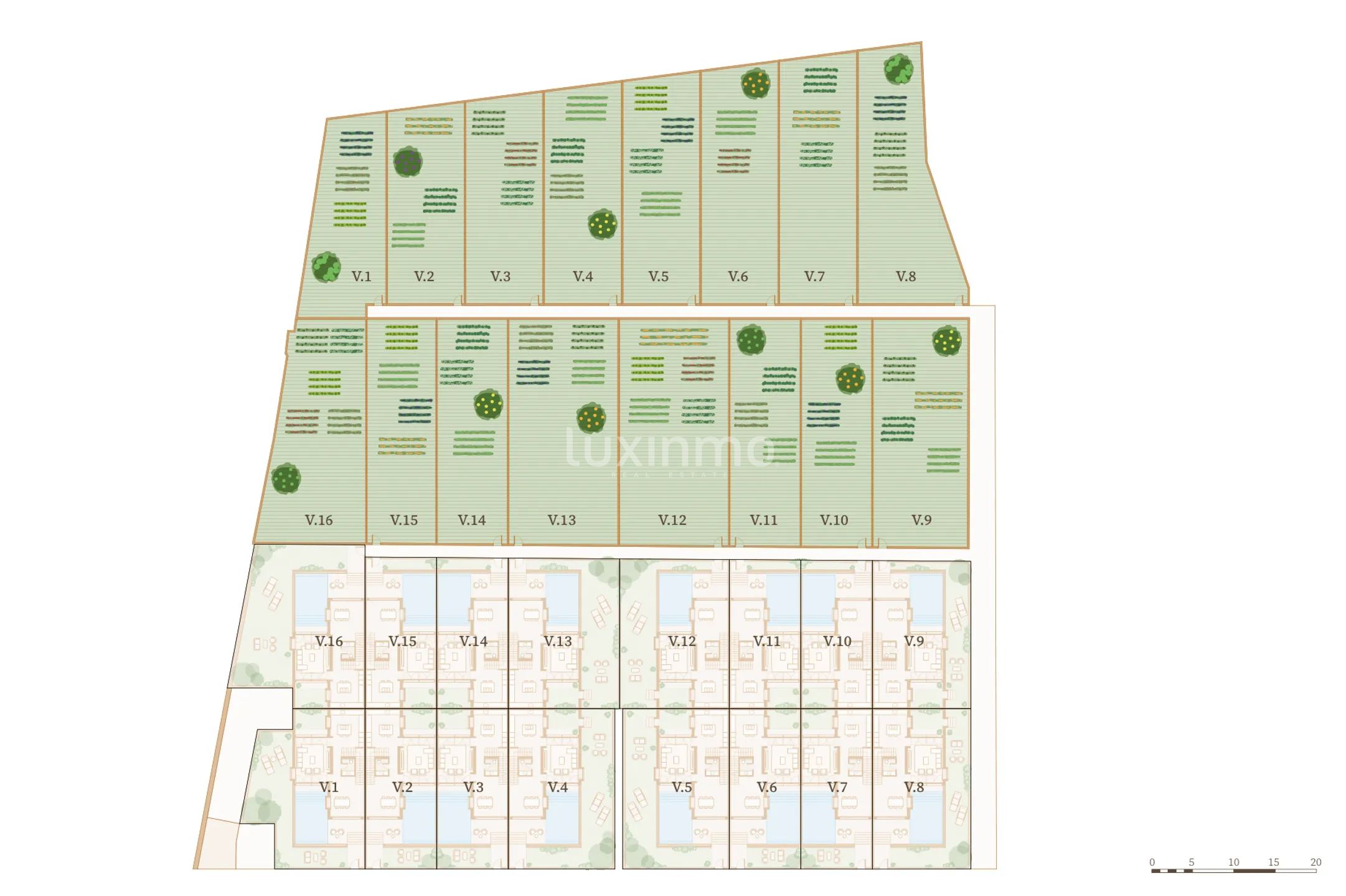 The Origin — photo 3