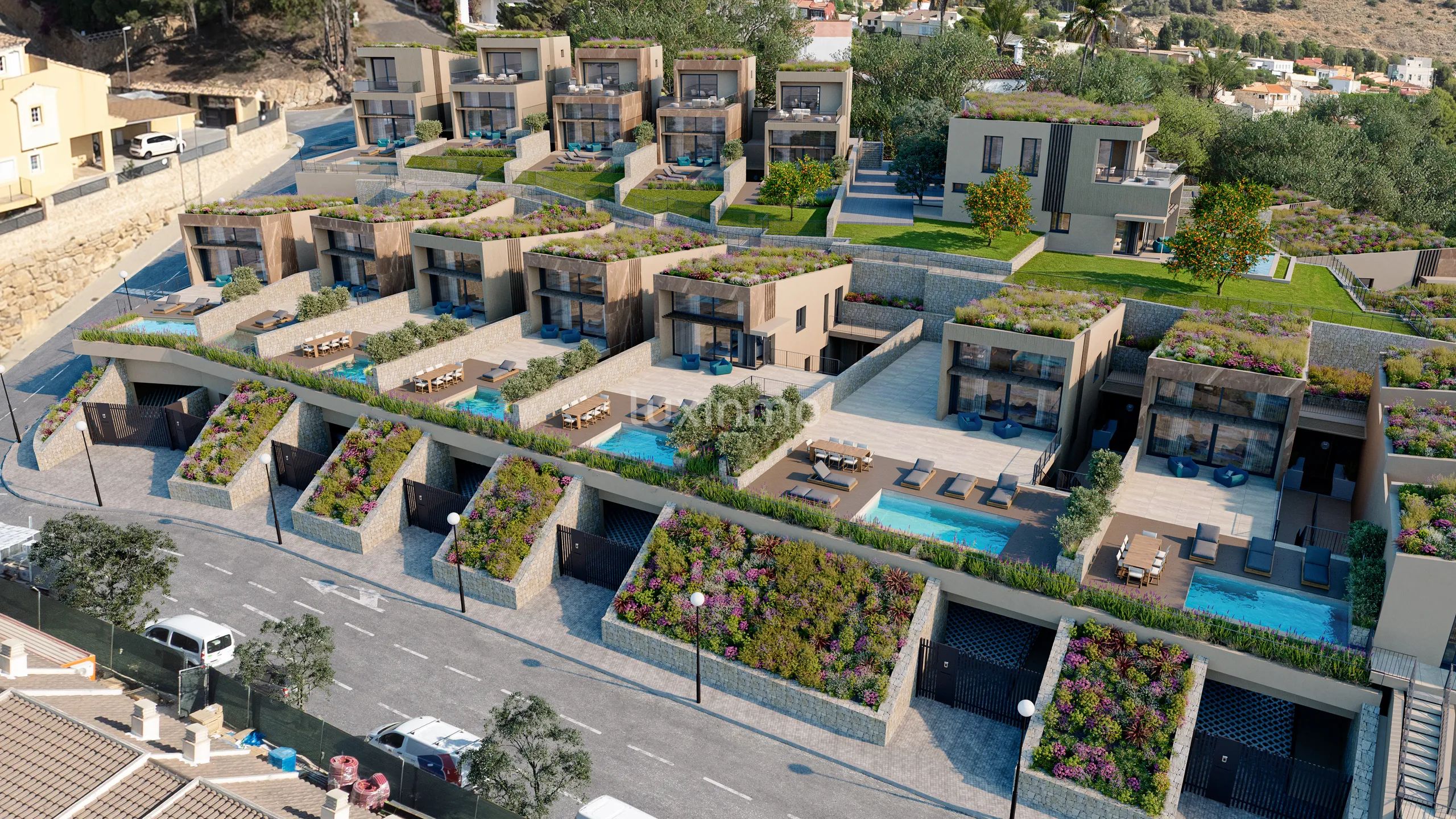 Amiral Zorom — photo 16