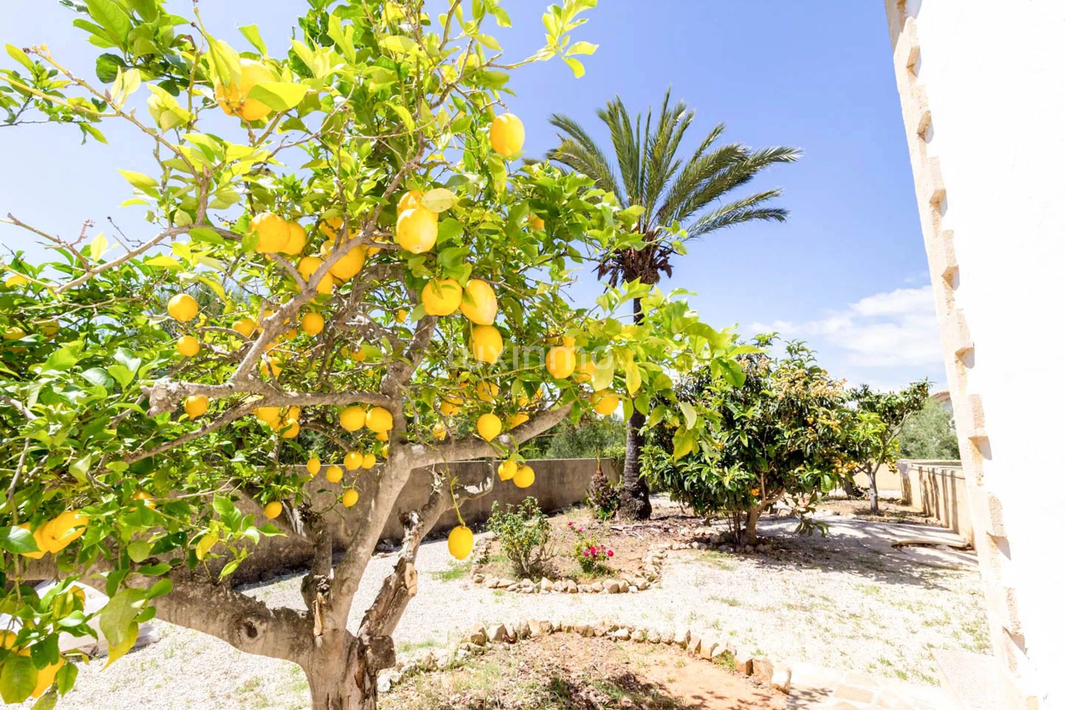 Villa de estilo mediterráneo en zona tranquila en venta en Javea — photo 15